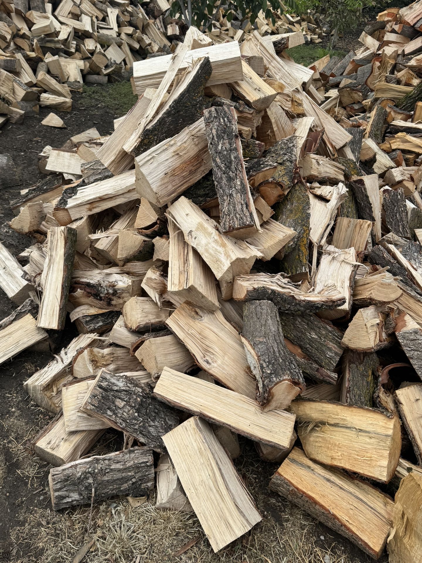 Pecan firewood πͺ΅ π₯