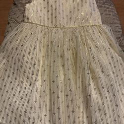 Gold Dress/ Vestido Dorado 