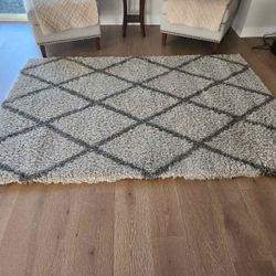 Area Rug 5×7