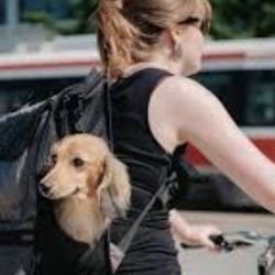 Brand New Timbuk2 Mutt Dog Backpack