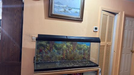 Gallon glass Aquarium