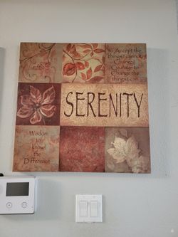Canvas Frame/ Wall Decor
