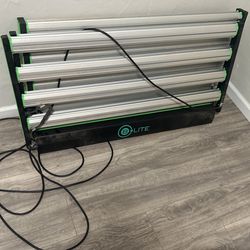 Grow lights 2 For 300