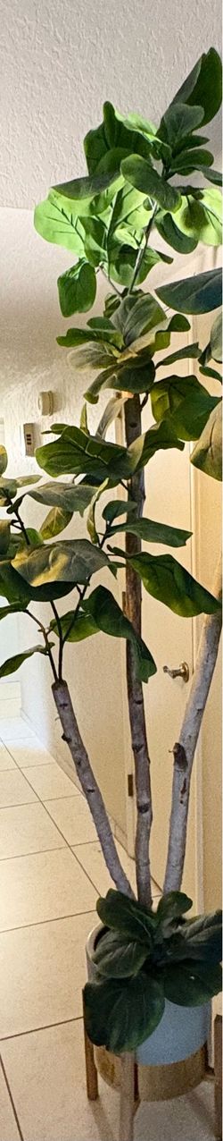 Artificial tree/home decor.