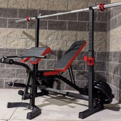 Professional Bench, Bench Press, Adjustable Bench, Weights, Olympic Bars, Dumbbells.