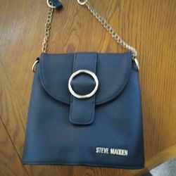 Steve Madden Purse