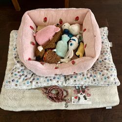 Dog beds toys leash