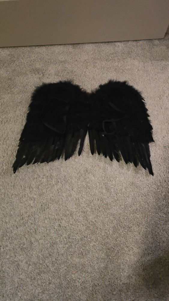 Costume Wings