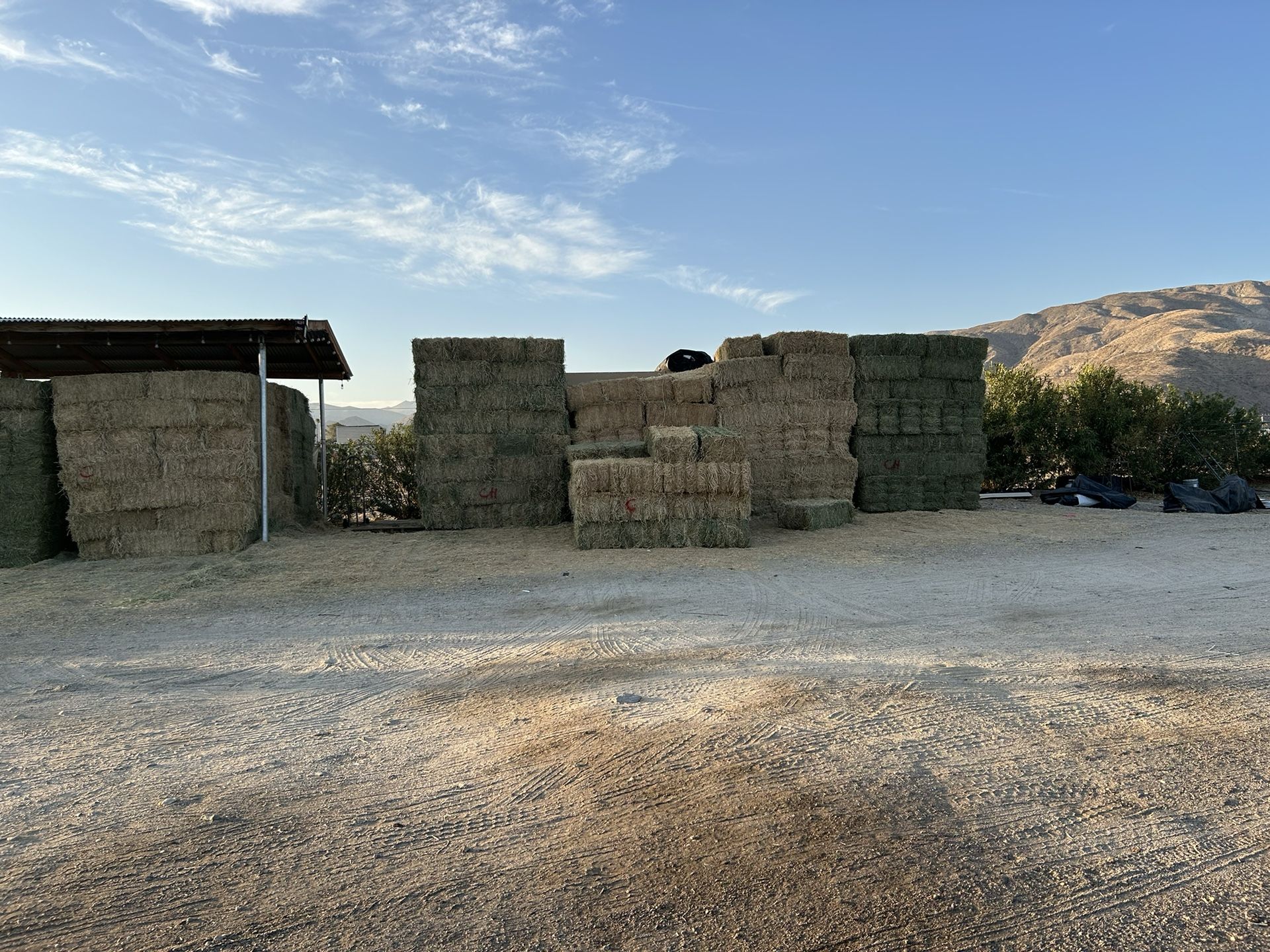 Hay