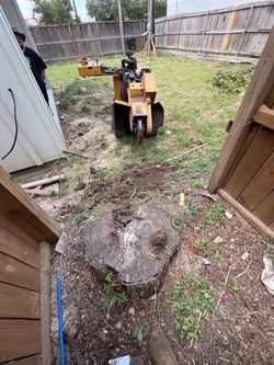 Stump grinding