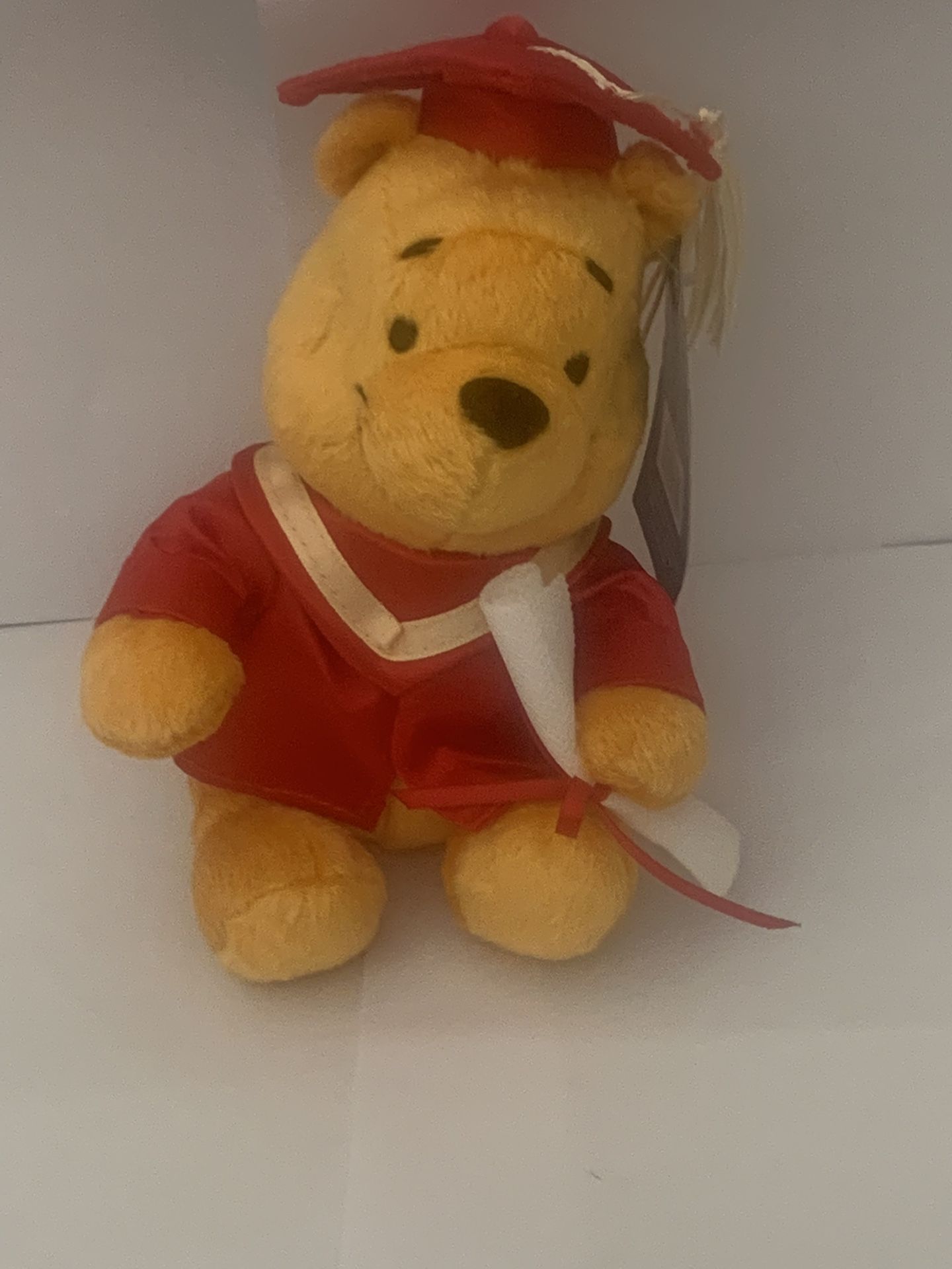 Graduation Winnie Pooh Bear