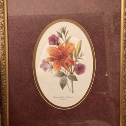 2  PJ Redoute Framed Floral Pictures