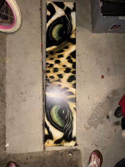 Leopard eyes canvas frame 10 x 48