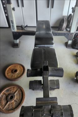 Free Bench Press and Side bench gym equipment