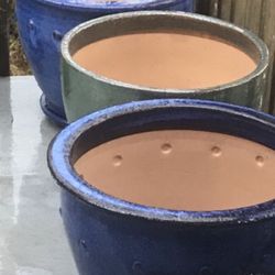 Extra Large Plants Pots 