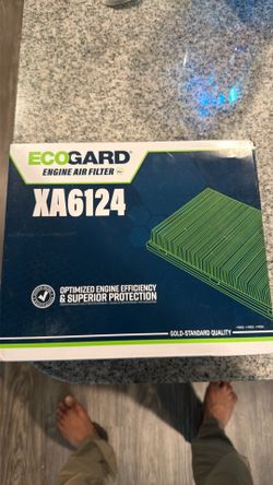 EcoGard XA6124 Engine Air Filter