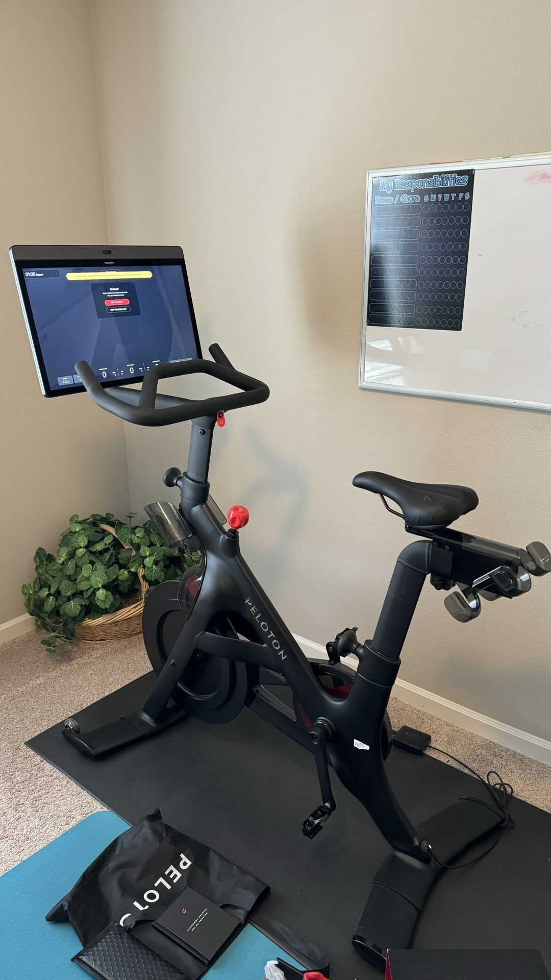 Peloton Bike +