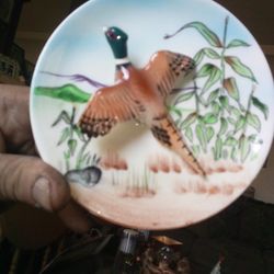 Small Ringneck Pheasant Plate $5
