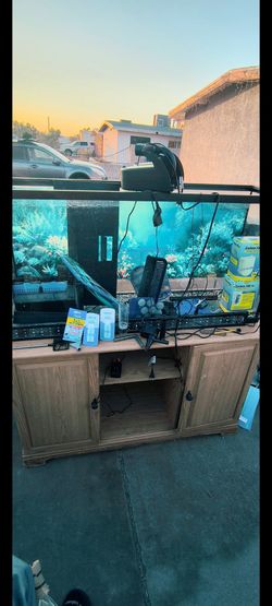 Aquarium Full Setup