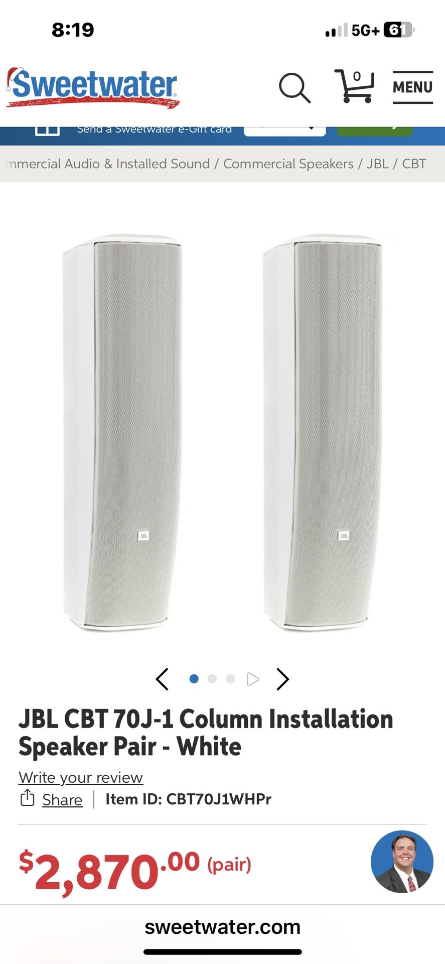 JBL Column Speakers (pair)