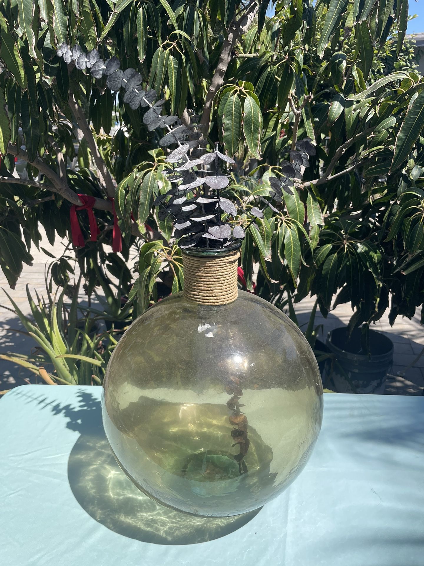 Glass Flower Vase