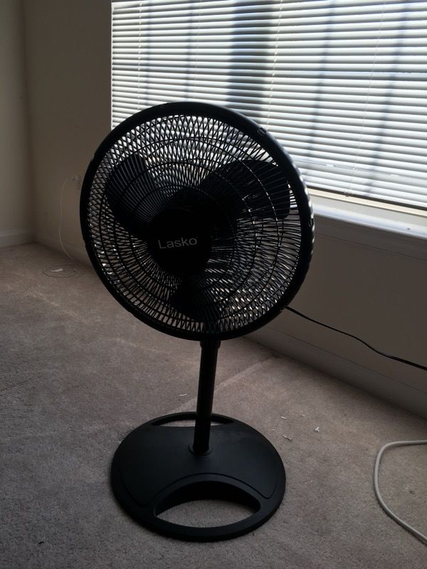 Floor fan