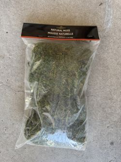 Fake Moss