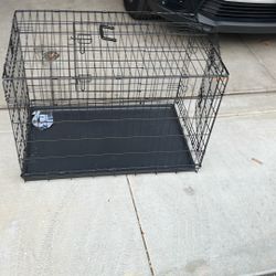 Kennel
