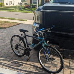 Diamond Back Mountain Bike