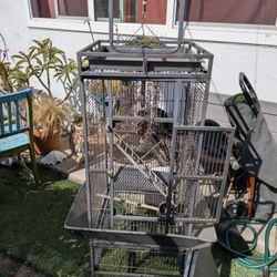 Bird Cage
