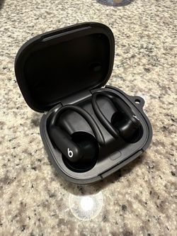 Beats Powerbeats Pro 2 Wireless Earbuds with Case