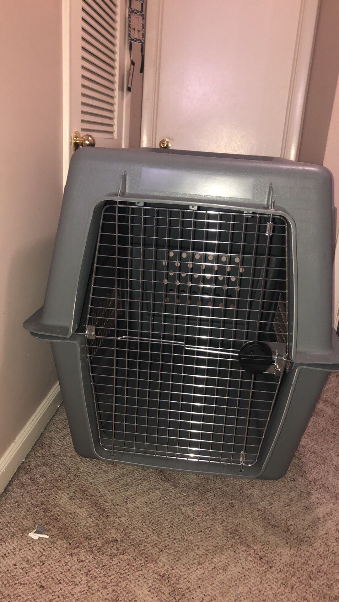 Giant DOG Kennel