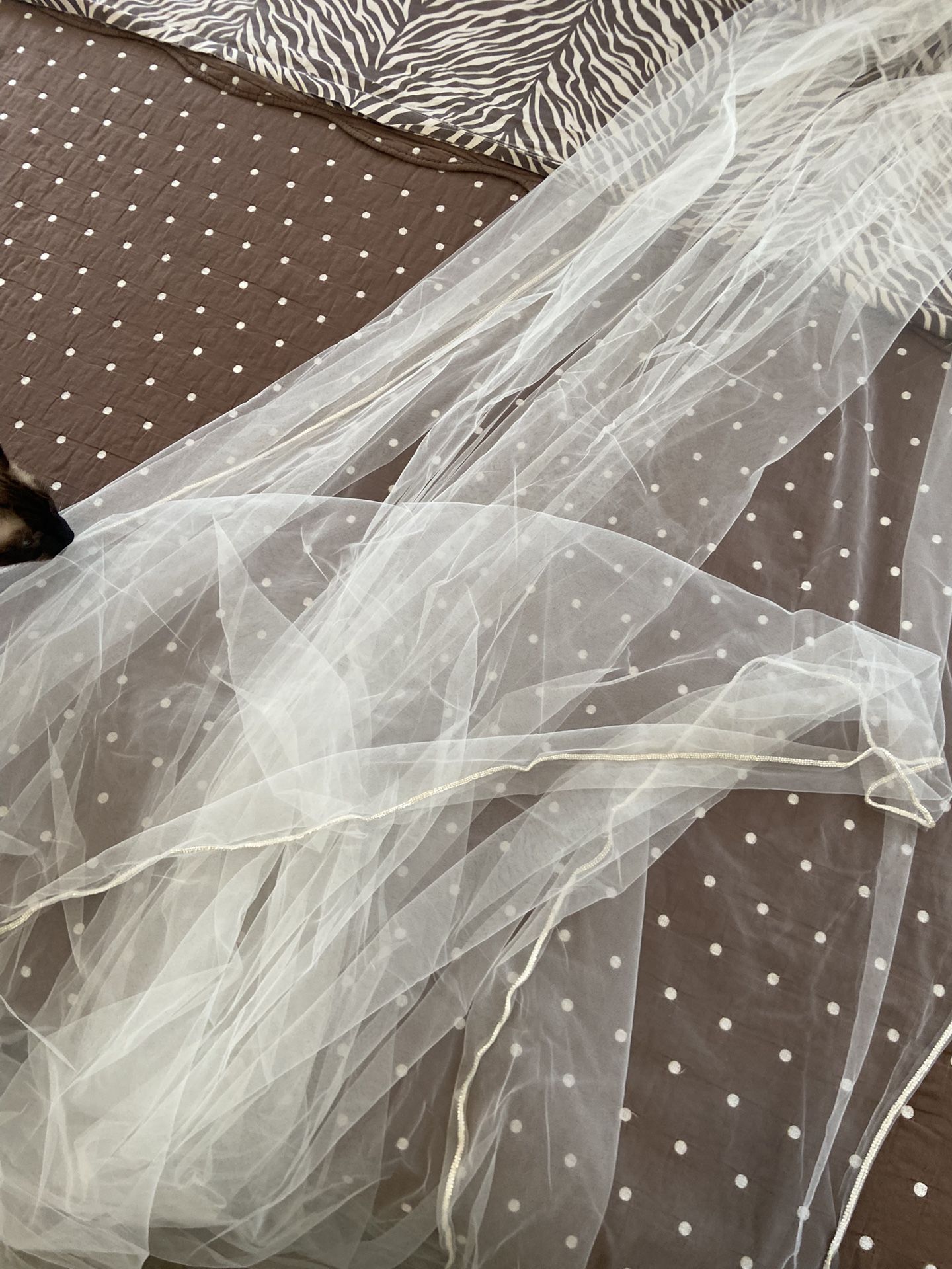 Veil
