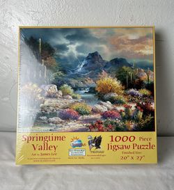 JAMES LEE JIGSAW PUZZLE "MOONLIGHT EAGLE" 1000 PIECES 20" X 27" WATERFALL FOREST