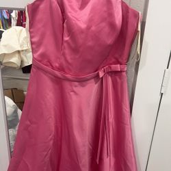 Pink Lady Dress
