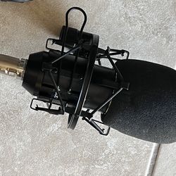 Streaming microphones