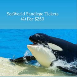 SeaWorld Sandiego 🐳