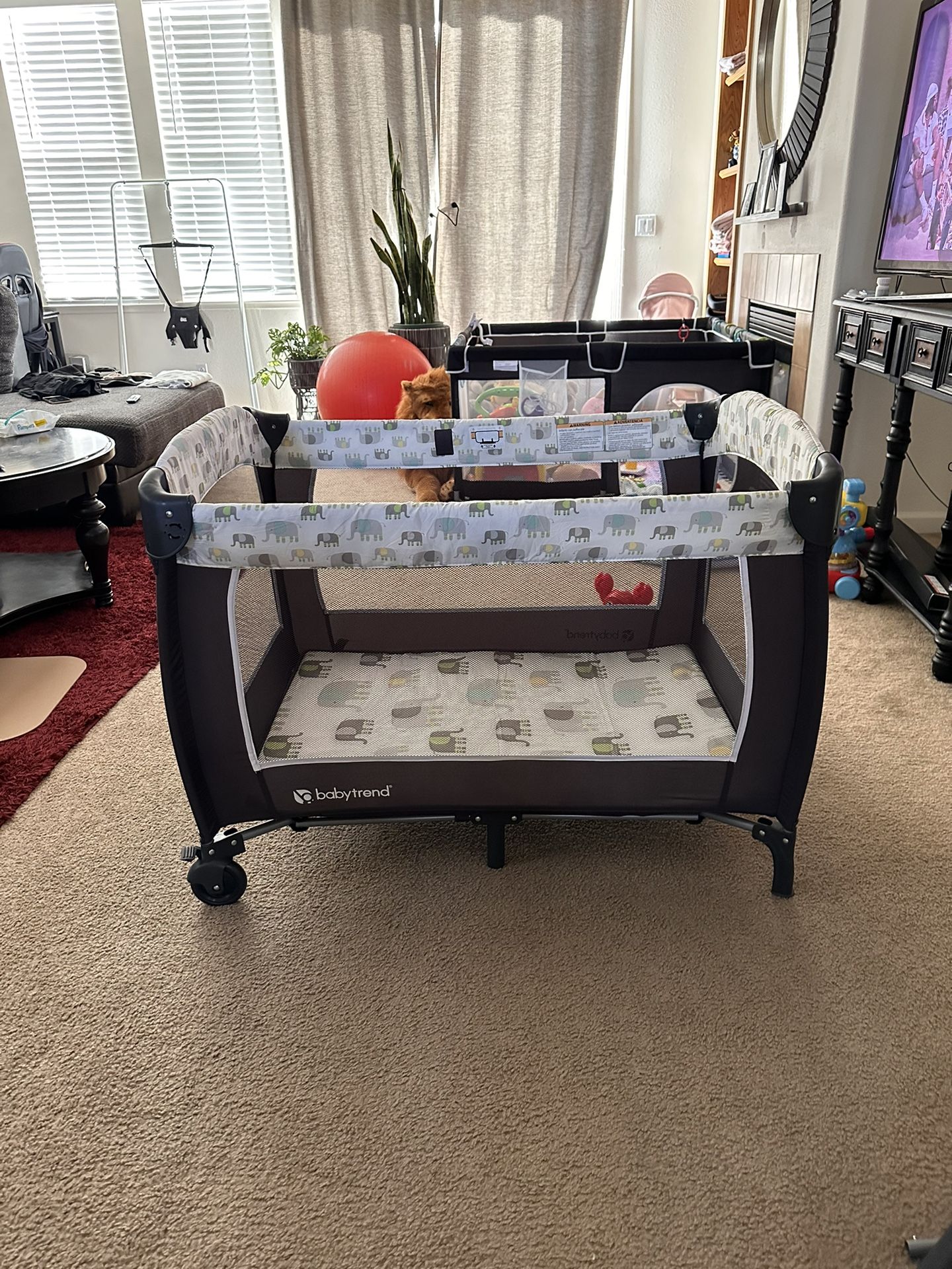 Baby Trend Pack N Play