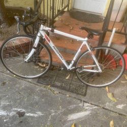 Nishiki Bike