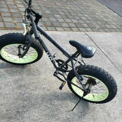 Jeep Bike 