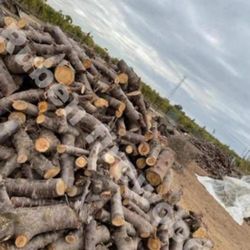 Firewood 