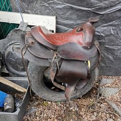 Saddle