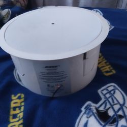  Bose’s Acoustimass Bass Module.