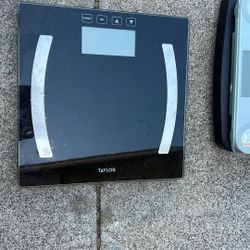 Scale 