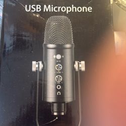 Professional Microphone