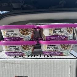 Purina Beneful Gravy Wet Dog Food, Prepared Meals Simmered Beef Entree - (8) 10 oz. Tubs