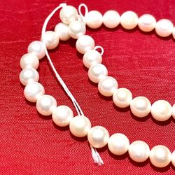 Lustrous White Pearls