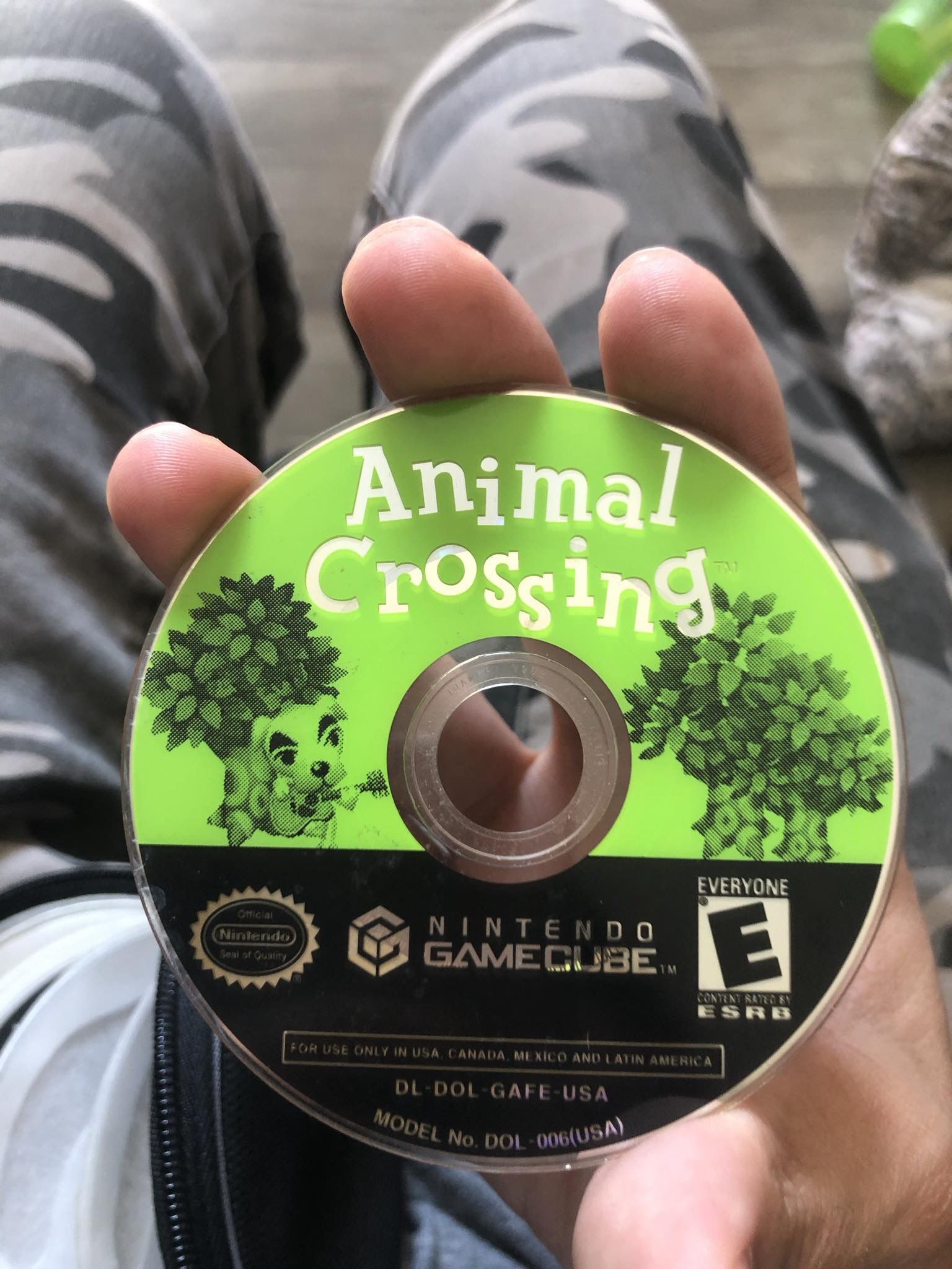 GameCube Animal Crossing Disc Only