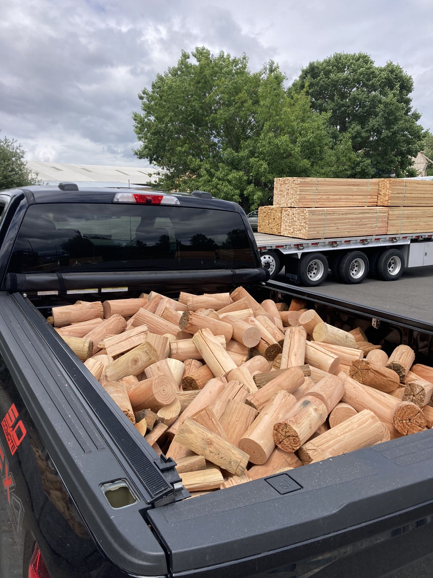 Firewood