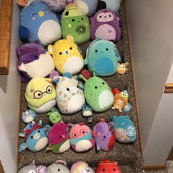Collection Of Brand New Squishmallows All With Tags